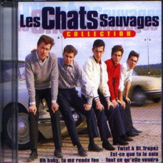 Cliquer pour agrandir