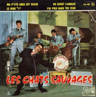 Cliquer pour agrandir